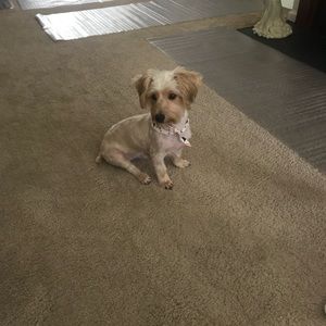 Meet your Posher, Michele